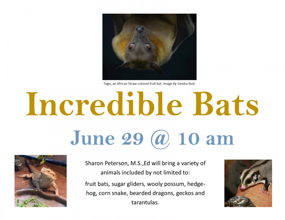 incredible bats
